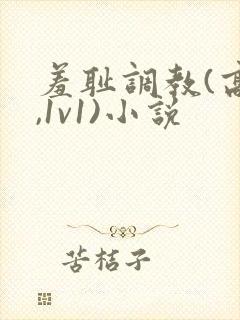 羞耻调教(高h,1v1)小说