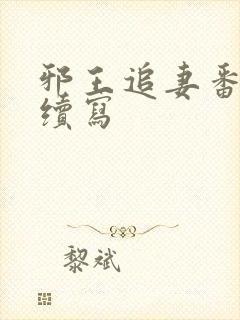 邪王追妻番外篇续写