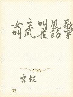 女主叫凤歌男主叫夙夜的穿越小说