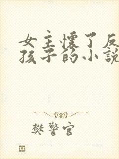 女主怀了反派的孩子的小说