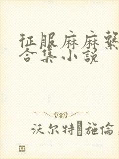 征服麻麻系列大合集小说