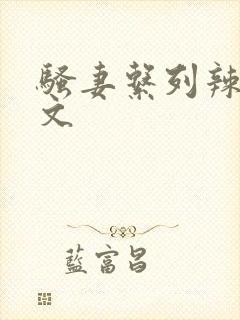 骚妻系列辣文h文