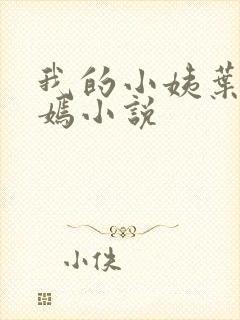 我的小姨叶凡司嫣小说