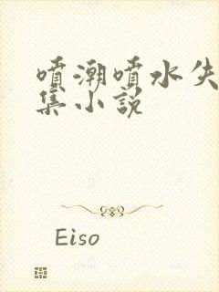 喷潮喷水失禁合集小说