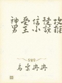 神受信徒攻文双男主小说推荐