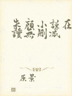 朱颜小说在线阅读无删减