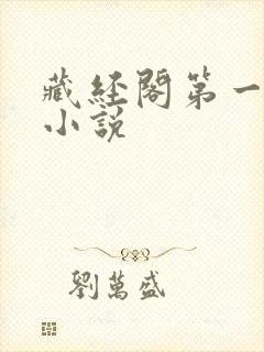 藏经阁第一版主小说