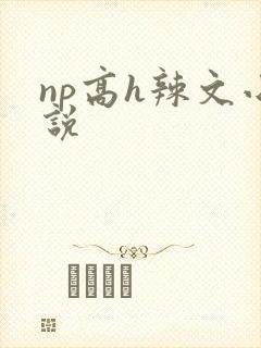np高h辣文小说