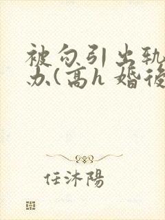 被勾引出轨怎么办(高h 婚后np