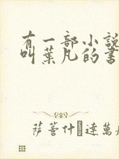 有一部小说主角叫叶凡的书名