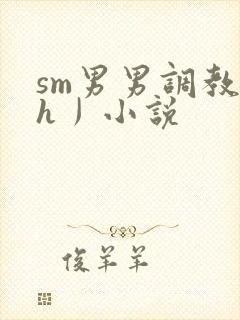 sm男男调教〈h丿小说