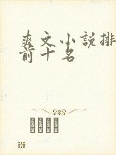 爽文小说排行榜前十名