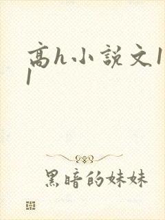 高h小说文1v1封面