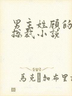 男主姓顾的现代总裁小说