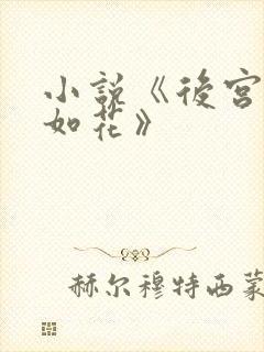 小说《后宫美人如花》