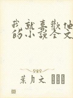 我就喜欢他那样的小说全文免费阅读封面