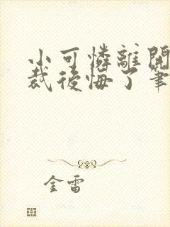 小可怜离开后总裁后悔了笔趣阁