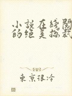 小说在线阅读我的绝美总裁老婆