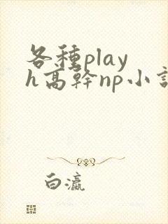 各种play h高干np小说