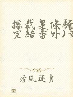 总裁是条骚狗(完结番外)笔趣阁小说封面