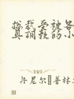 总裁受被各种道具调教的小说封面