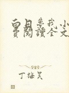 白日梦我小说免费阅读全文无删减封面