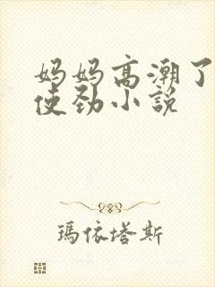 妈妈高潮了嗯啊使劲小说封面