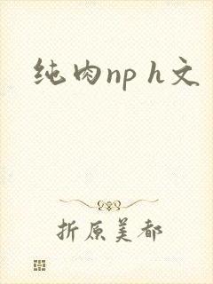 纯肉np h文