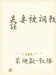 夫妻被调教的小说