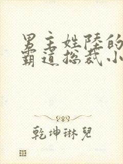 男主姓陆的全部霸道总裁小说