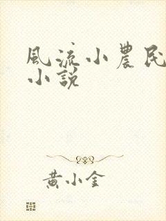 风流小农民李青小说封面