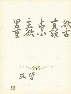 男主占有欲强且重欲小说古言