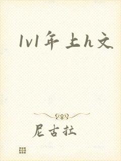 1v1年上h文