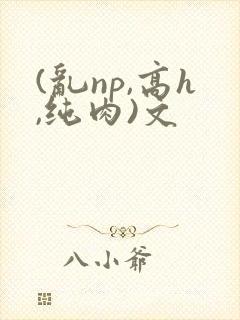 (乱np,高h,纯肉)文