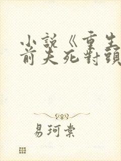 小说《重生嫁给前夫死对头》