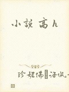 小说 高 h