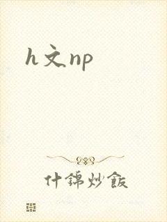 h文np封面
