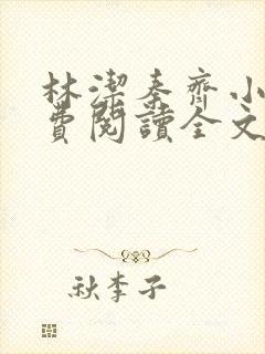 林洁秦齐小说免费阅读全文封面