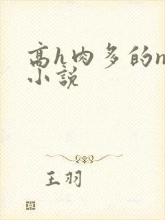 高h肉多的np小说