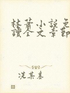 林萧小说免费阅读全文章节