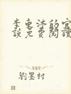 李东沐的官路小说免费阅读封面