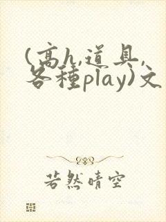 (高h,道具,各种play)文封面