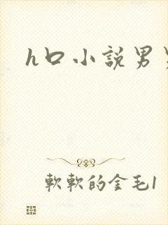 h口小说男男