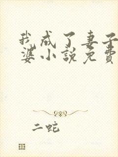 我成了妻子的老婆小说免费阅读全文