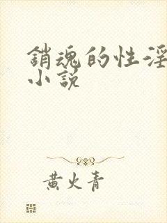 销魂的性淫熟妇小说封面