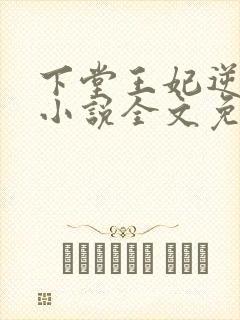 下堂王妃逆袭记小说全文免费阅读封面