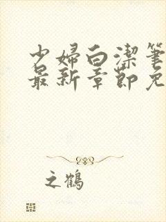 少妇白洁笔趣阁最新章节免费阅读封面