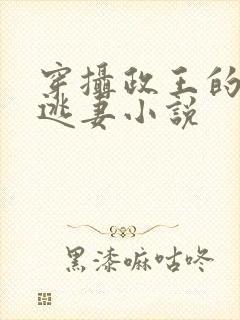 穿摄政王的侍爱逃妻小说