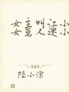 女主叫江小的普女万人迷小说封面