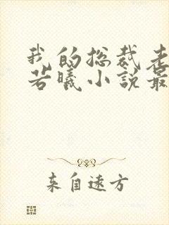 我的总裁老婆林若曦小说最新章节